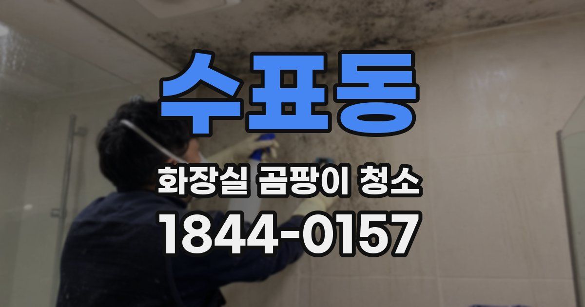 수표동 화장실 곰팡이 청소