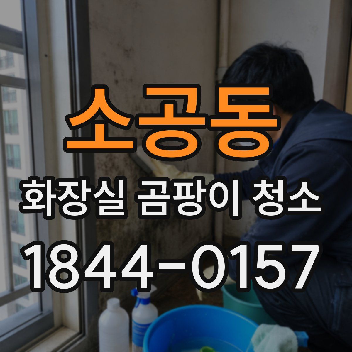 소공동 화장실 곰팡이 청소