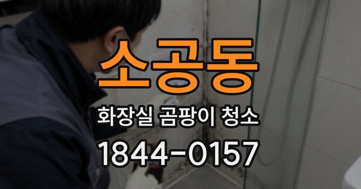 소공동 화장실 곰팡이 청소