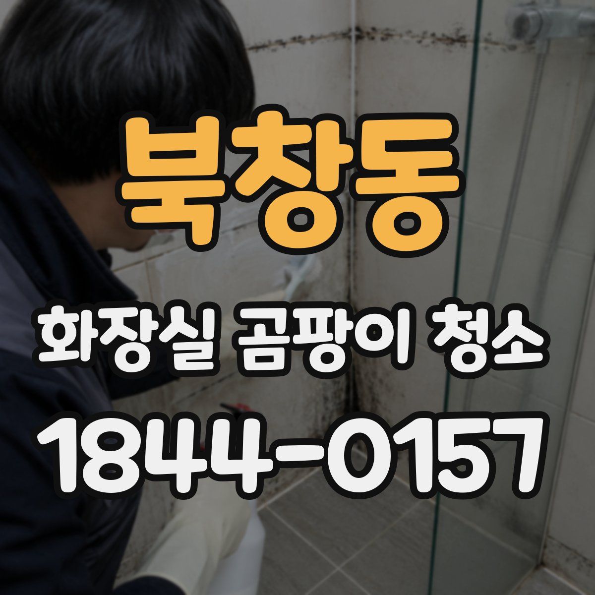 북창동 화장실 곰팡이 청소