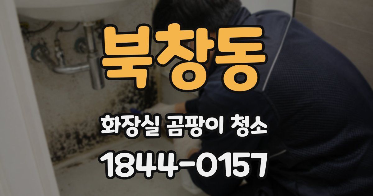 북창동 화장실 곰팡이 청소