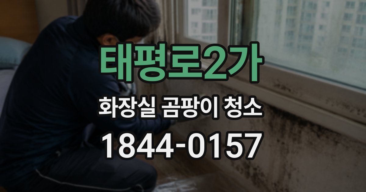 태평로2가 화장실 곰팡이 청소
