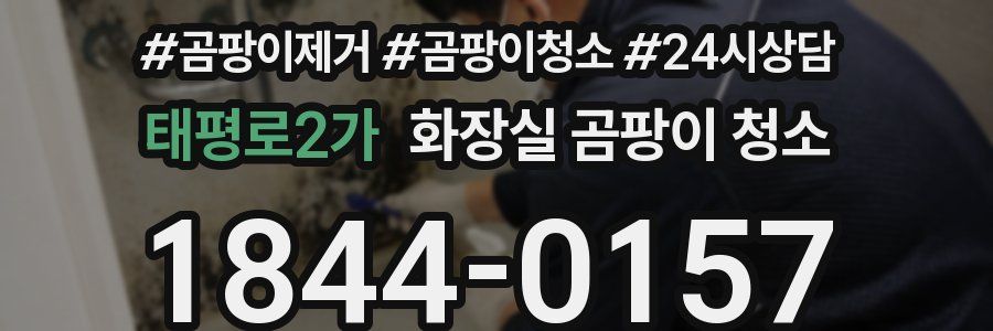 태평로2가 화장실 곰팡이 청소