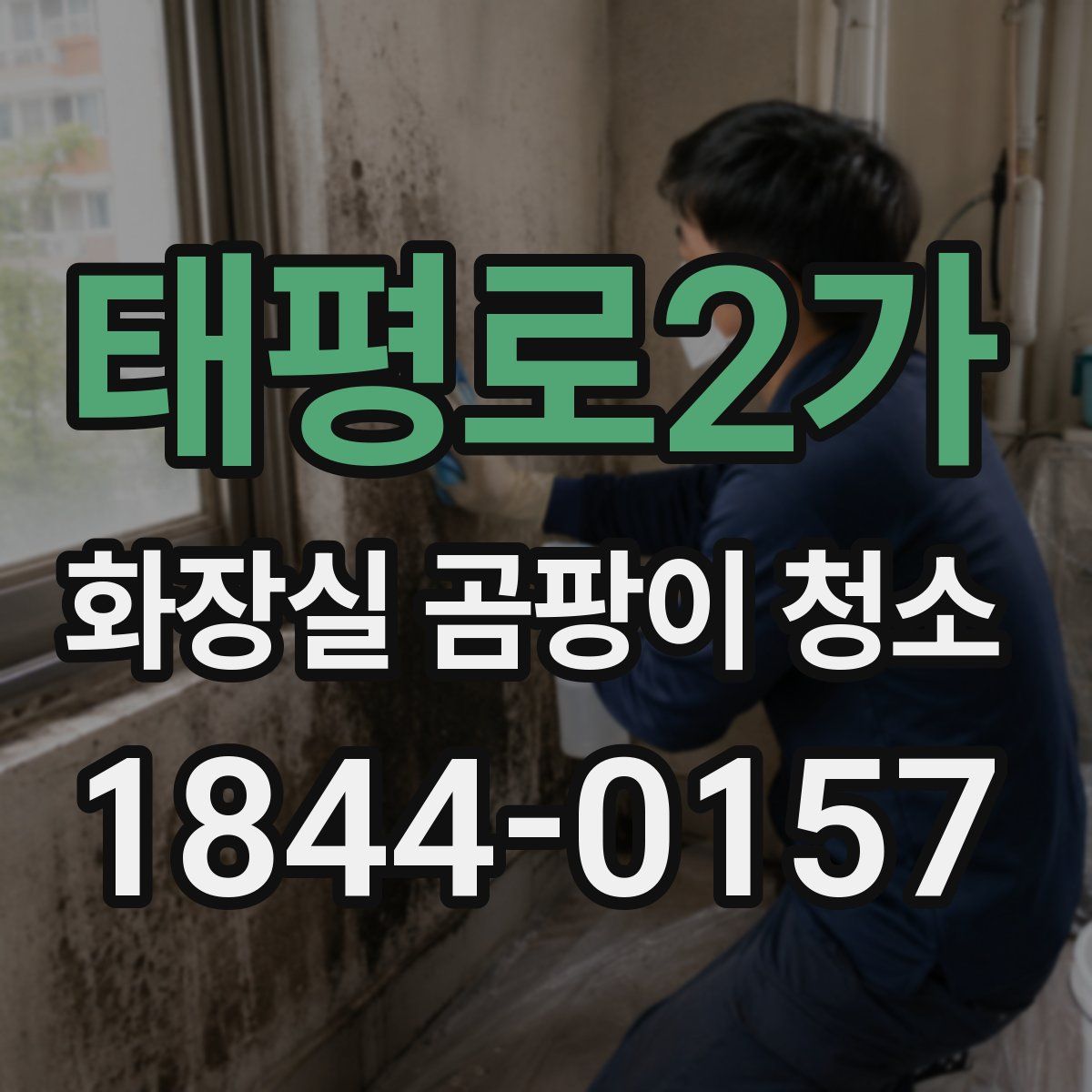 태평로2가 화장실 곰팡이 청소