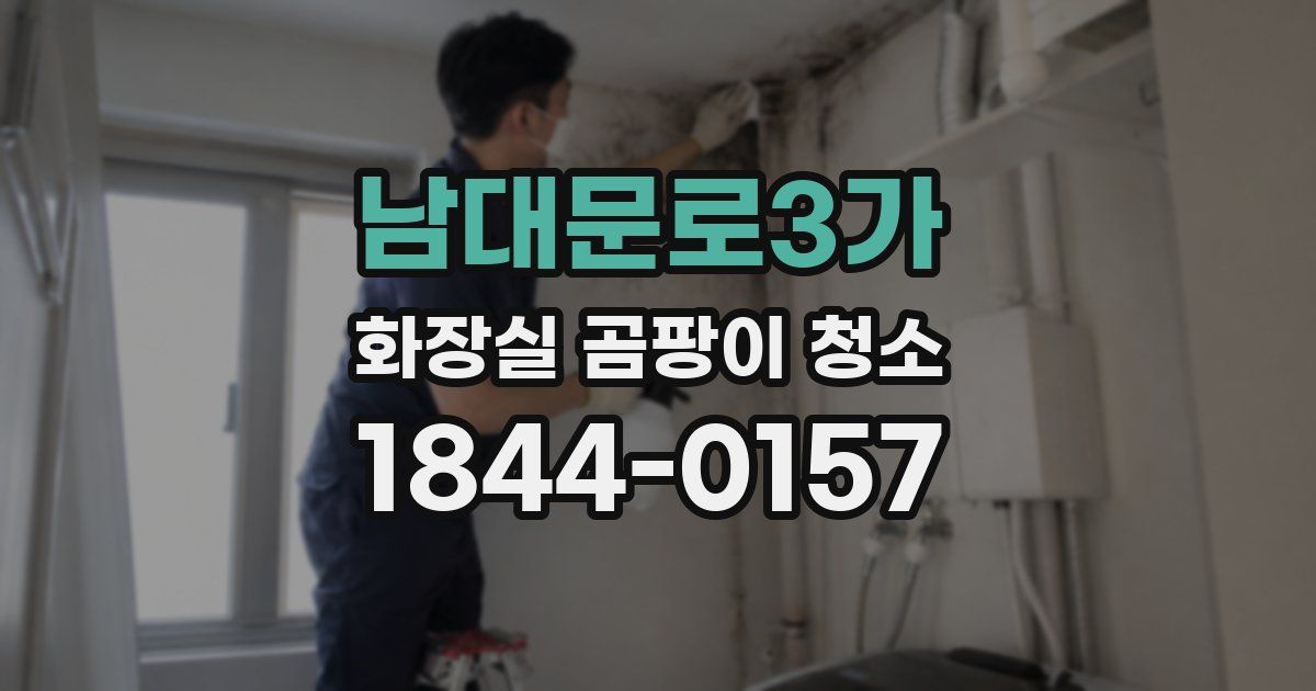 남대문로3가 화장실 곰팡이 청소