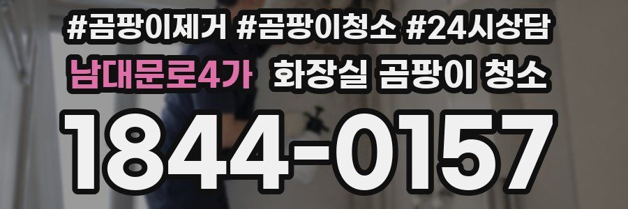 남대문로4가 화장실 곰팡이 청소