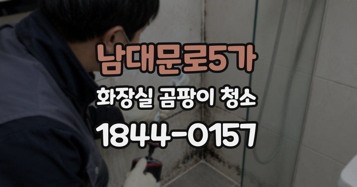 남대문로5가 화장실 곰팡이 청소