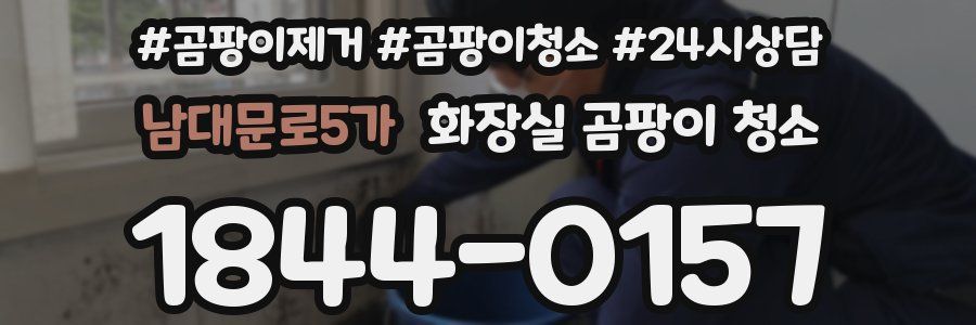 남대문로5가 화장실 곰팡이 청소