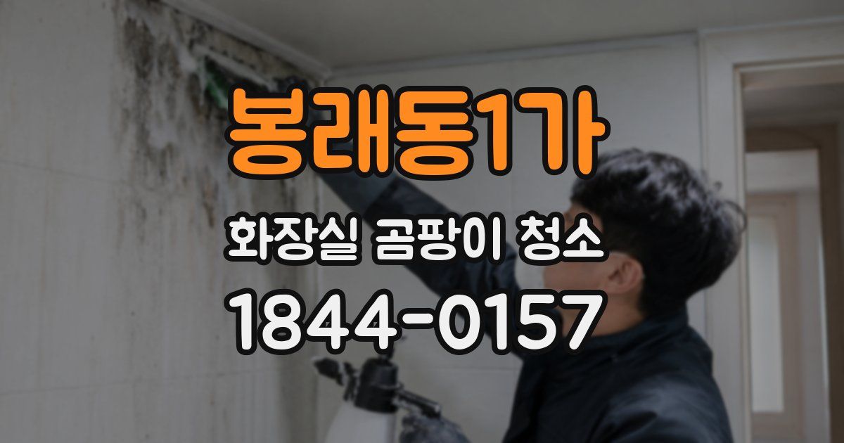 봉래동1가 화장실 곰팡이 청소
