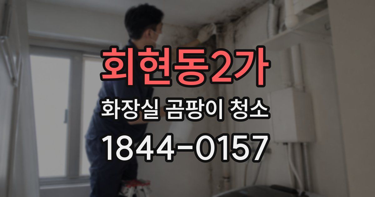 회현동2가 화장실 곰팡이 청소