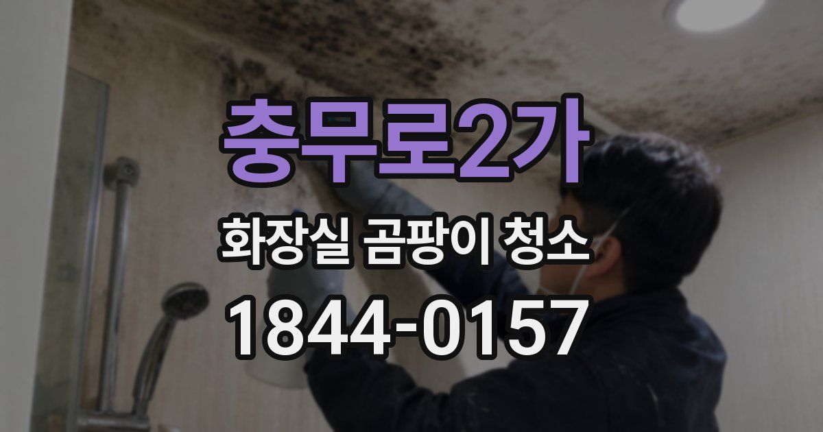충무로2가 화장실 곰팡이 청소