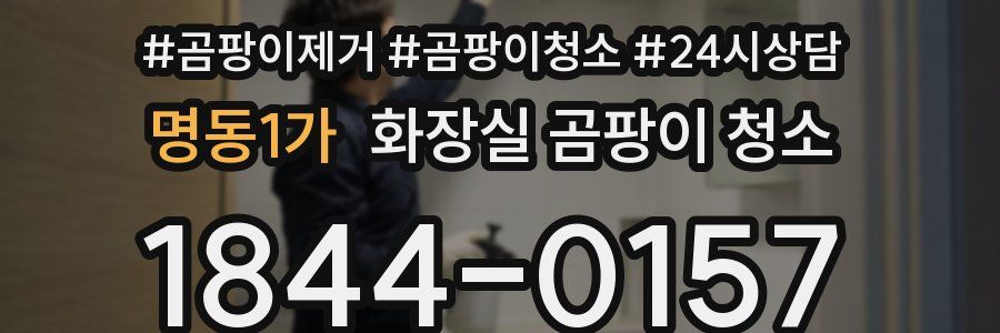 명동1가 화장실 곰팡이 청소