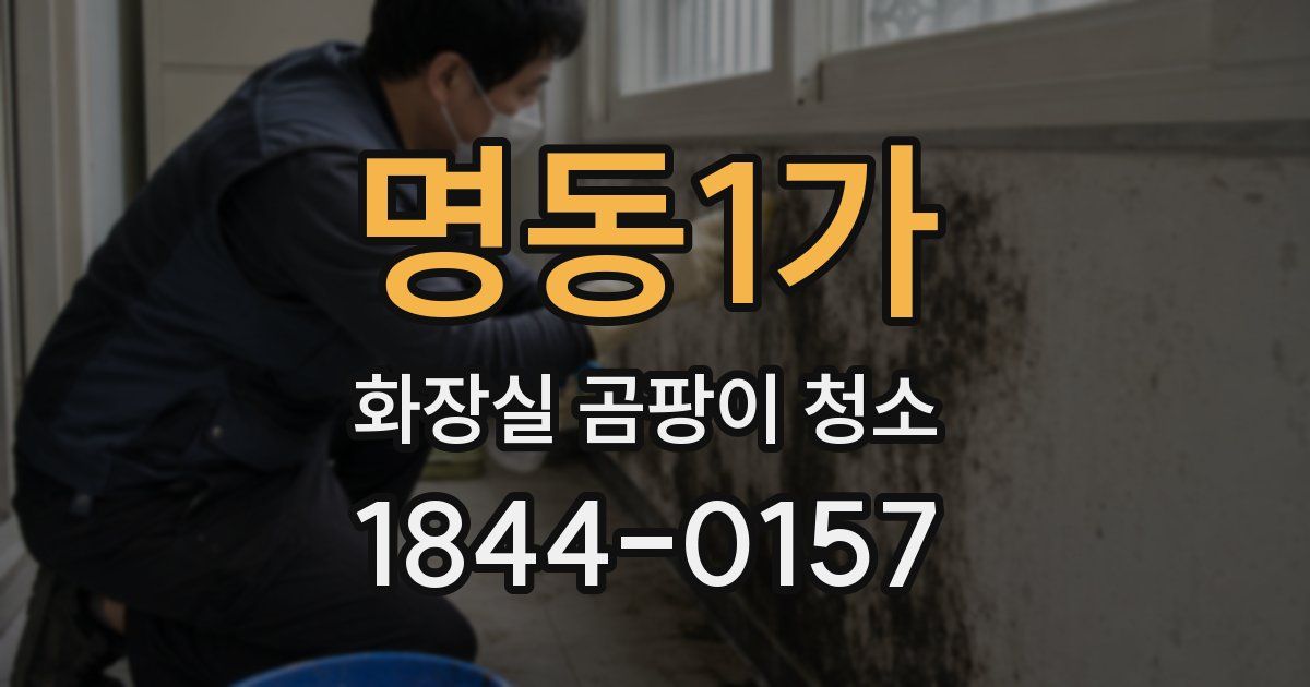 명동1가 화장실 곰팡이 청소