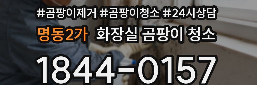 명동2가 화장실 곰팡이 청소