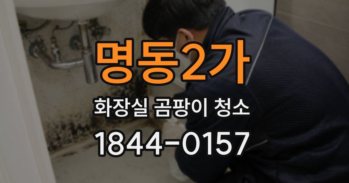 명동2가 화장실 곰팡이 청소