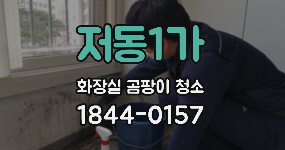 저동1가 화장실 곰팡이 청소