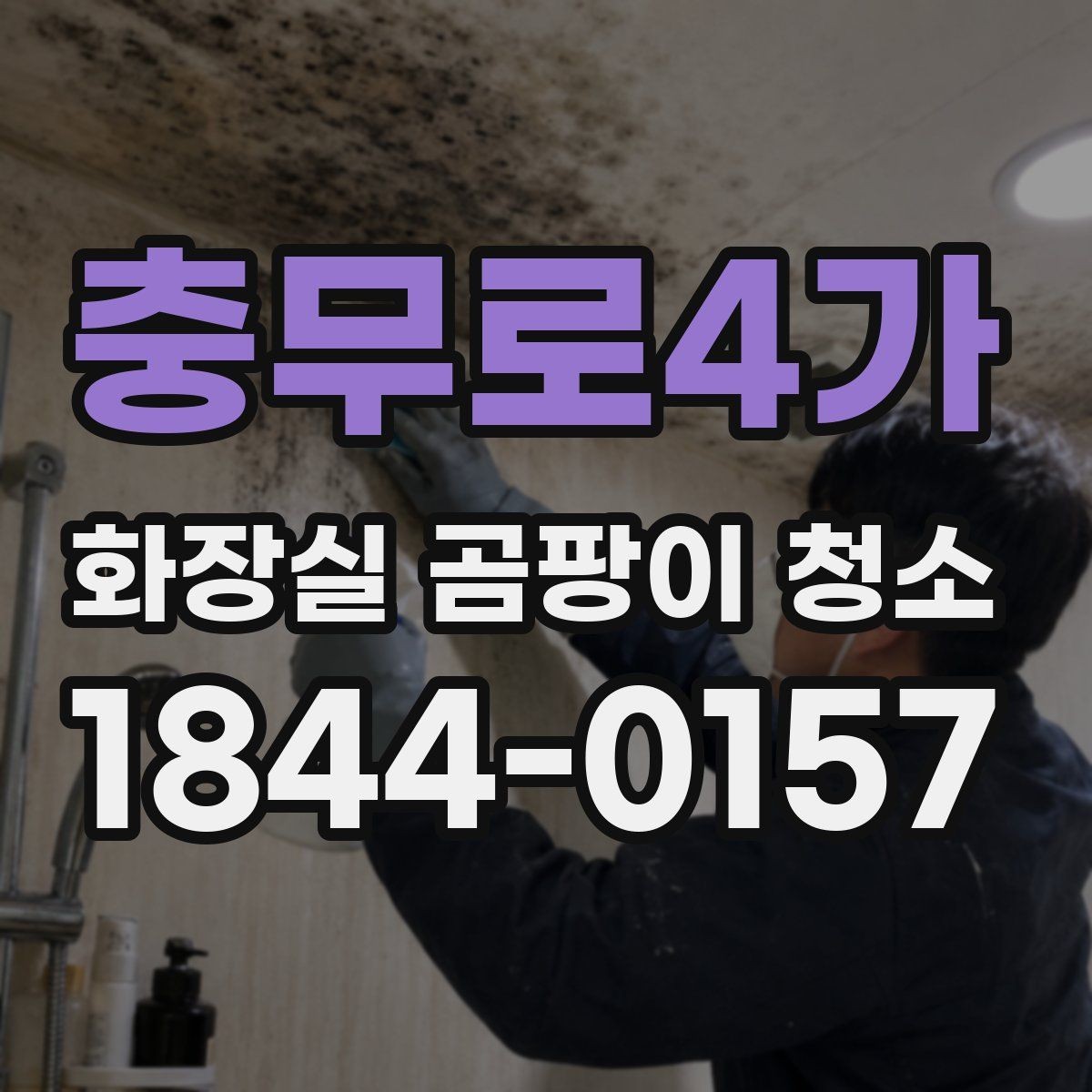 충무로4가 화장실 곰팡이 청소 장마철 전에 미리 챙길 점검 항목