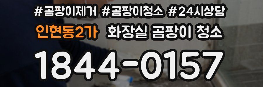 인현동2가 화장실 곰팡이 청소