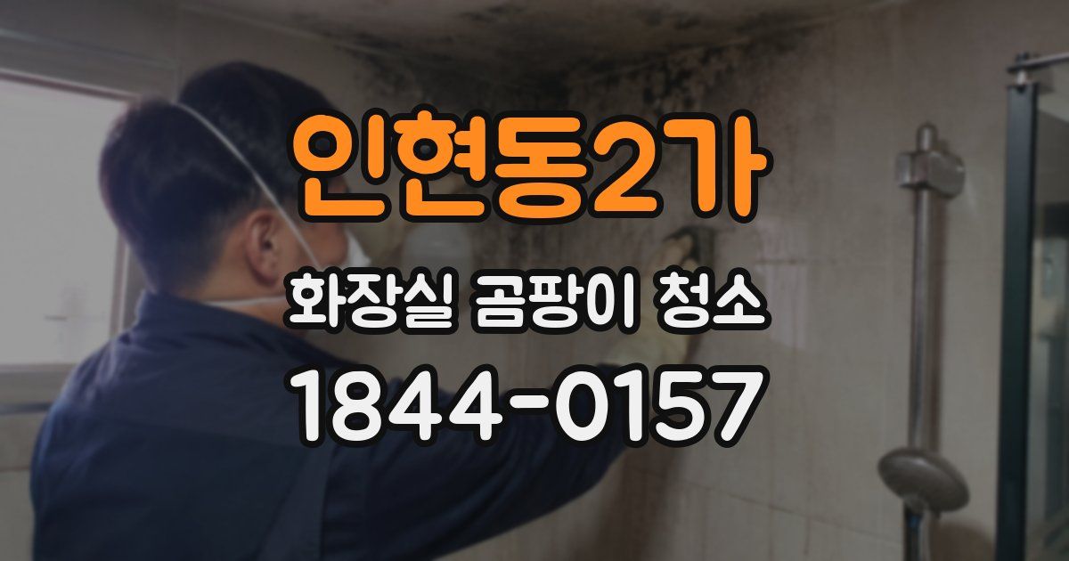 인현동2가 화장실 곰팡이 청소
