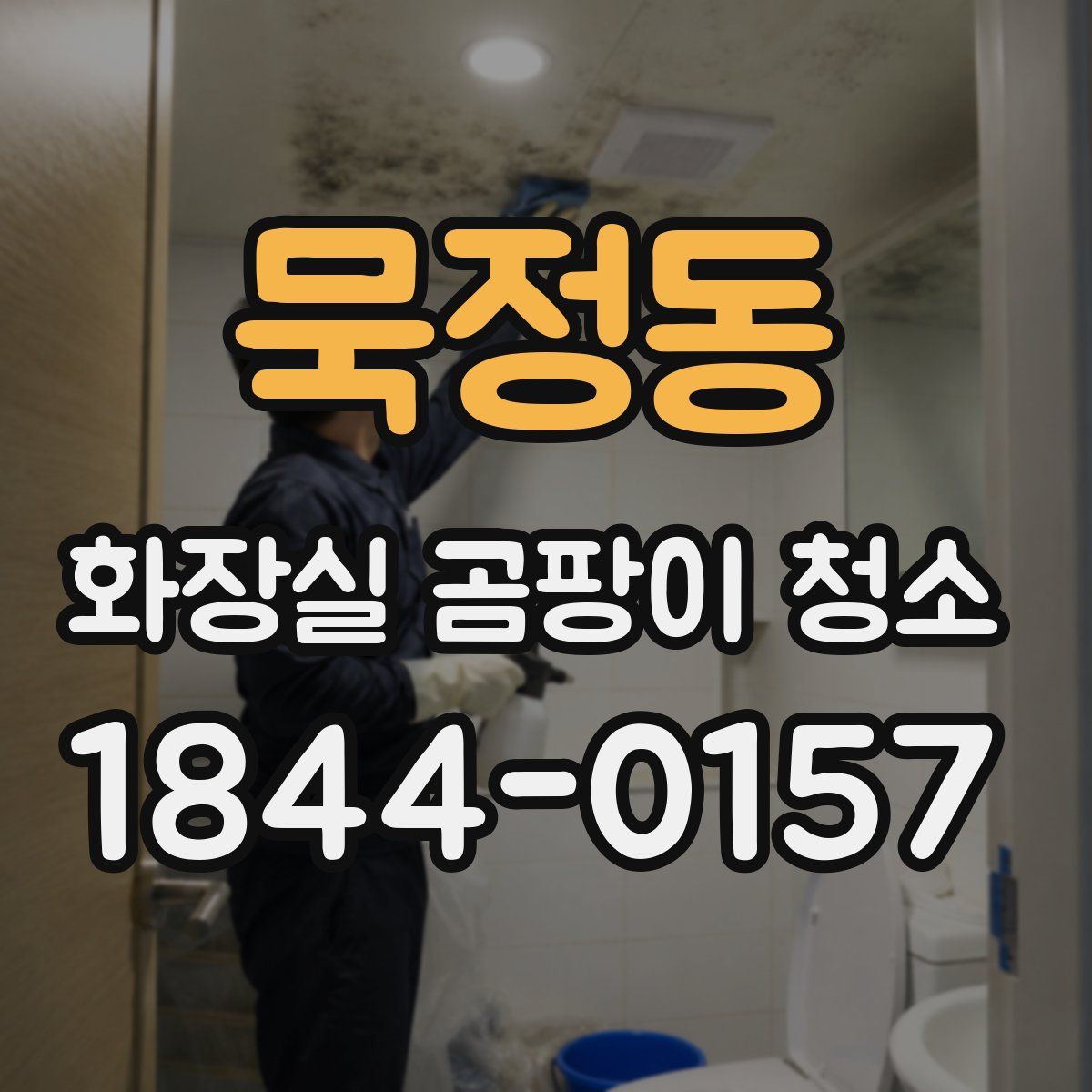 묵정동 화장실 곰팡이 청소