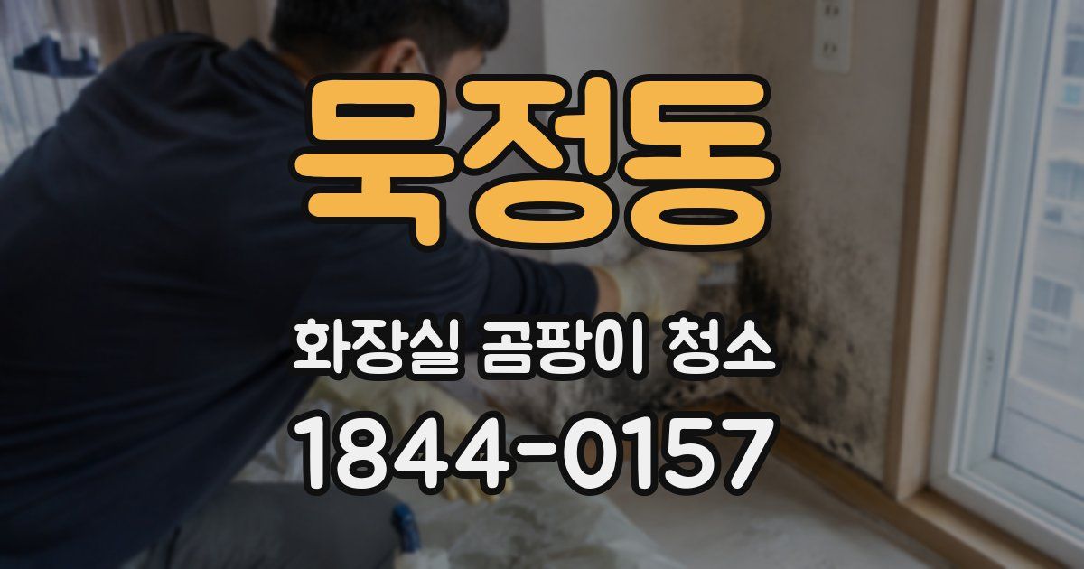 묵정동 화장실 곰팡이 청소