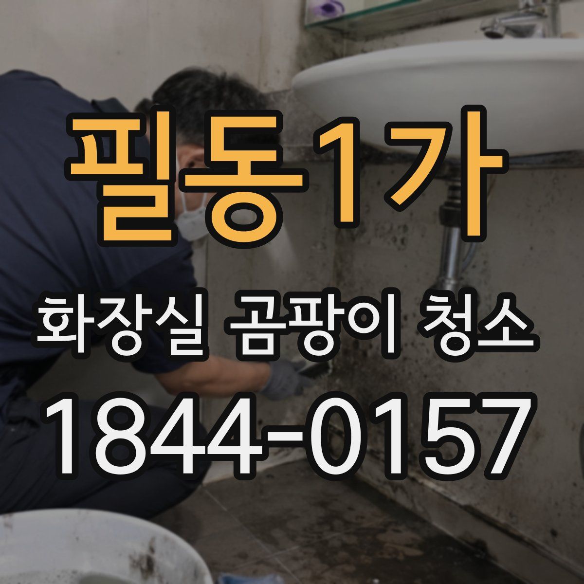필동1가 화장실 곰팡이 청소