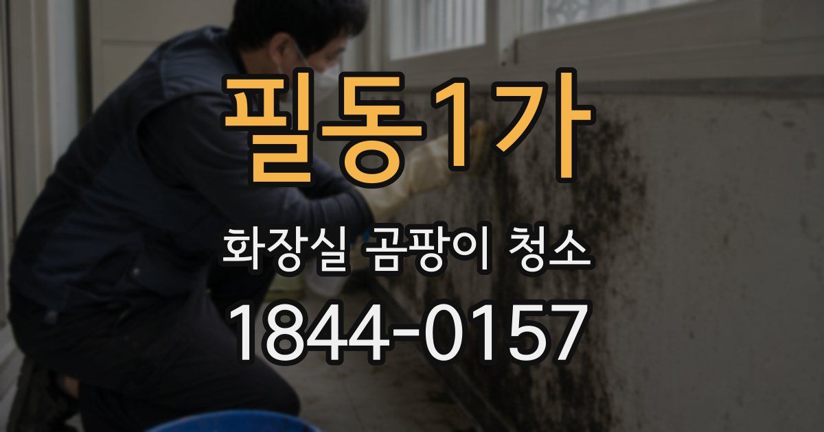 필동1가 화장실 곰팡이 청소