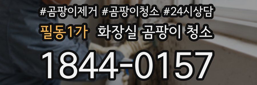 필동1가 화장실 곰팡이 청소