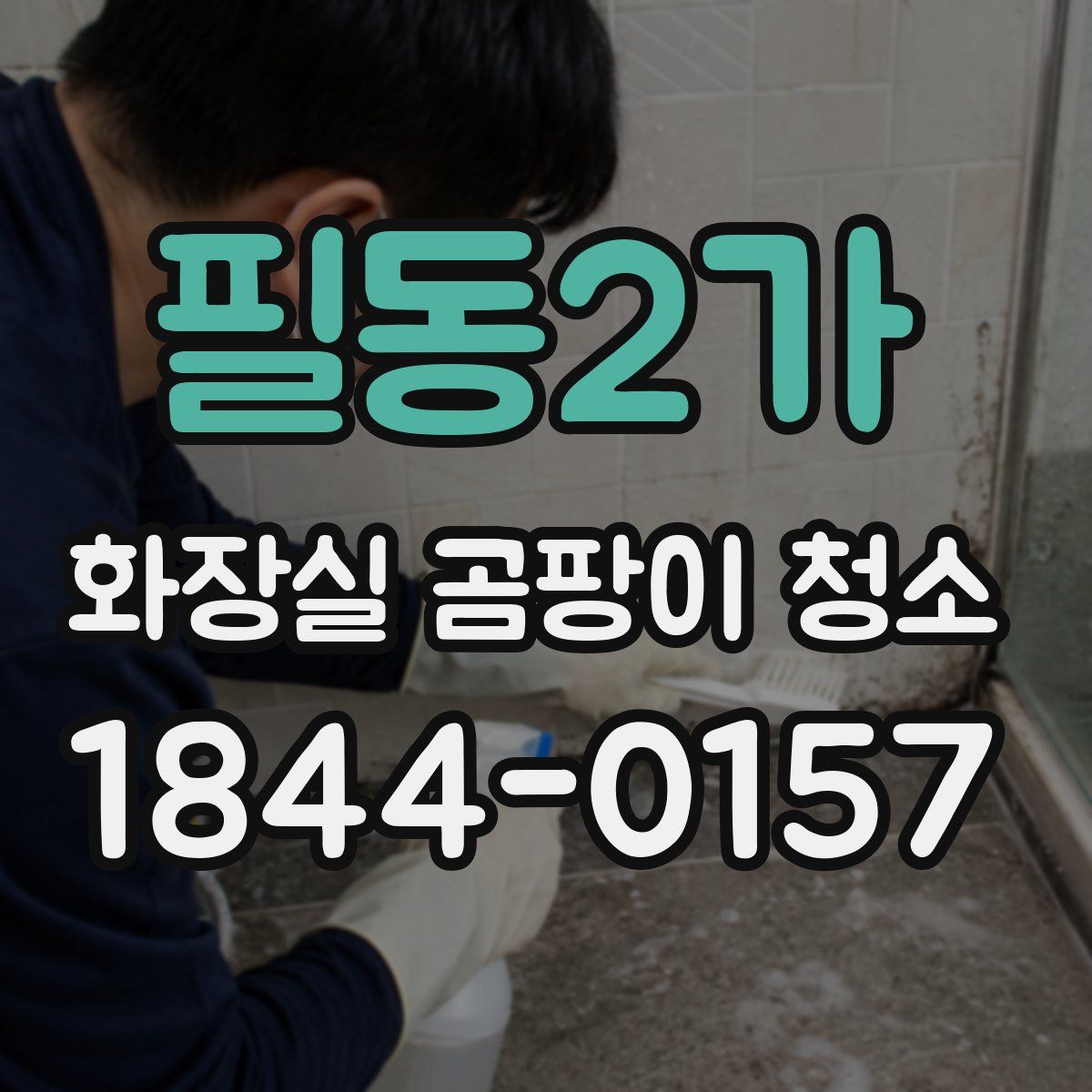 필동2가 화장실 곰팡이 청소