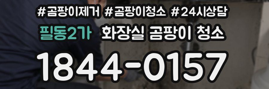 필동2가 화장실 곰팡이 청소