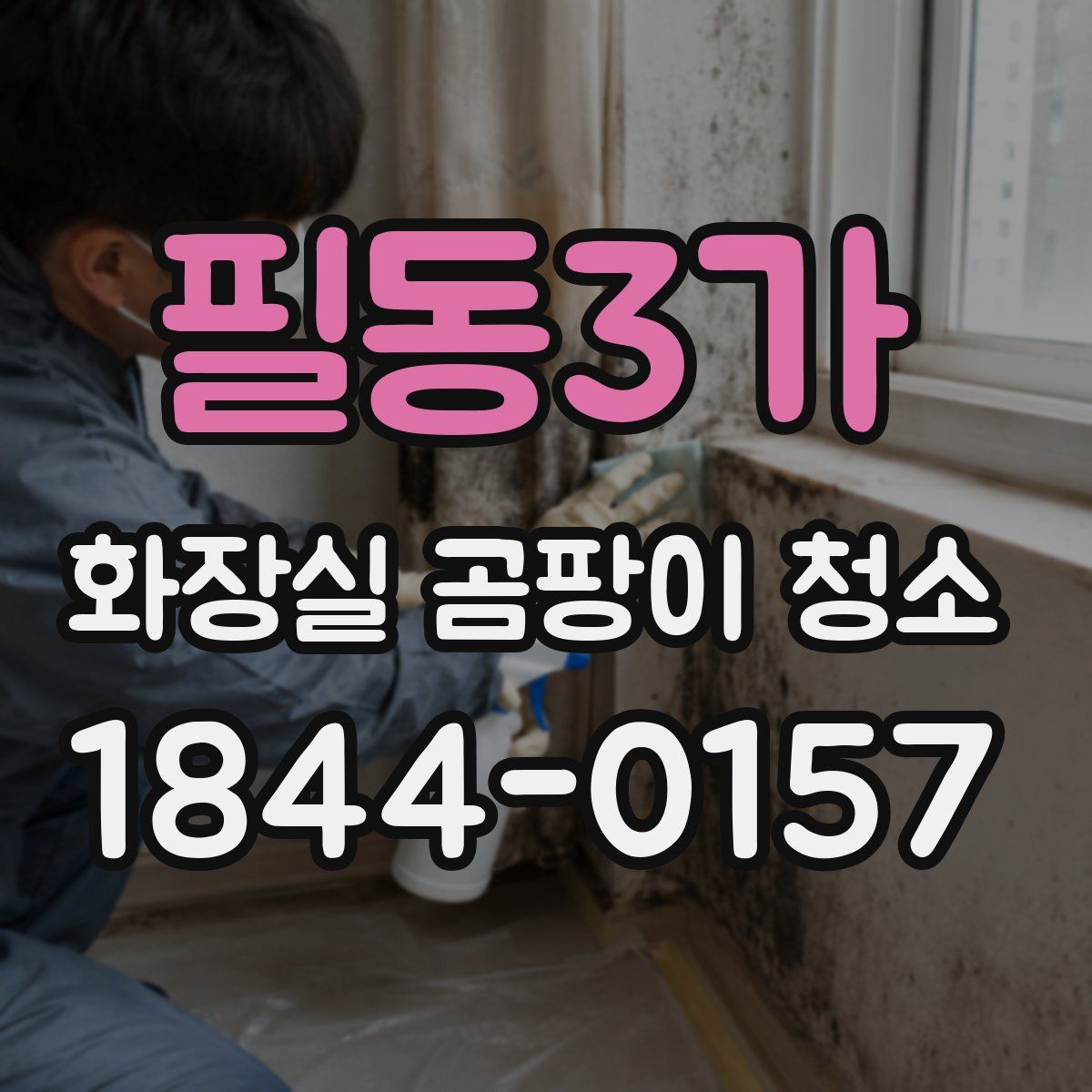 필동3가 화장실 곰팡이 청소