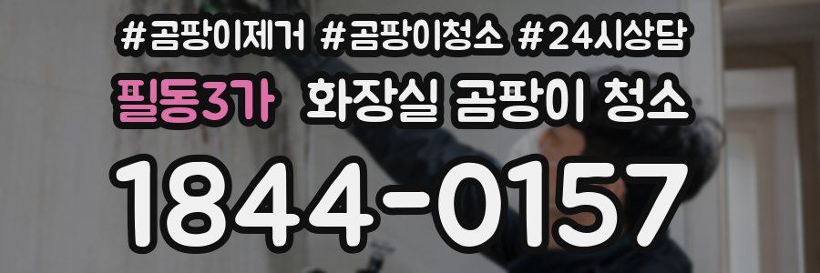 필동3가 화장실 곰팡이 청소