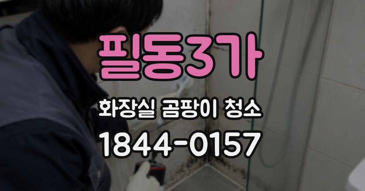 필동3가 화장실 곰팡이 청소