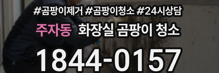 주자동 화장실 곰팡이 청소