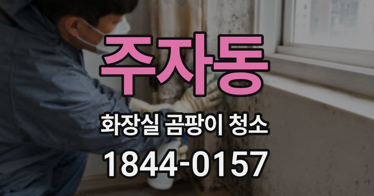 주자동 화장실 곰팡이 청소