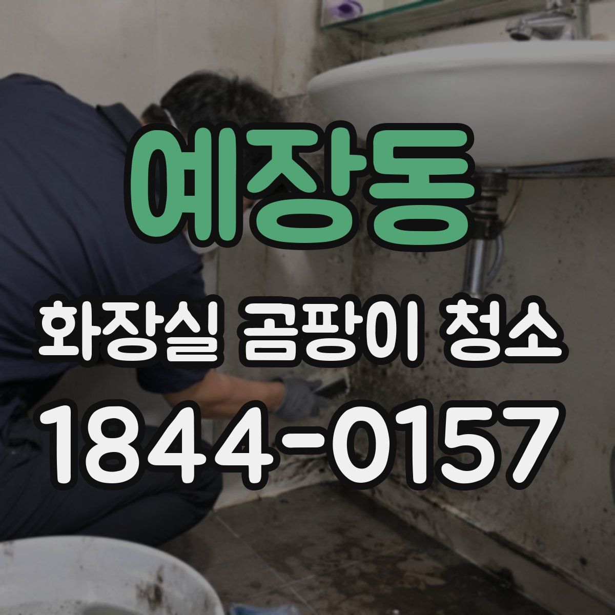 예장동 화장실 곰팡이 청소