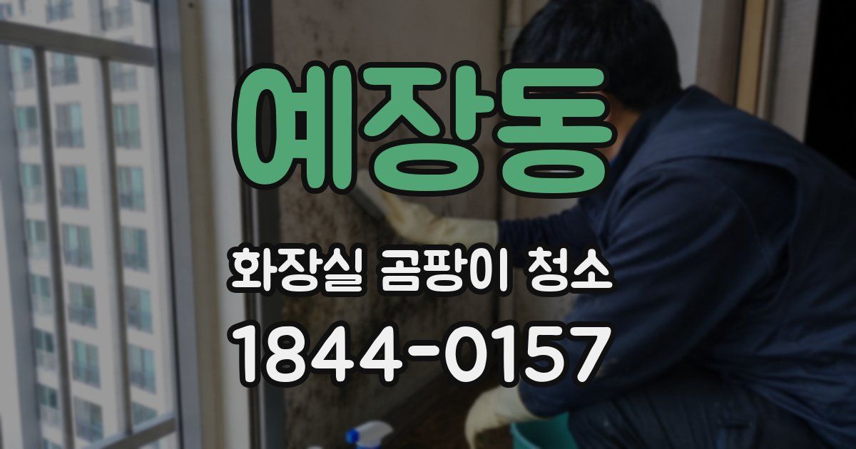예장동 화장실 곰팡이 청소