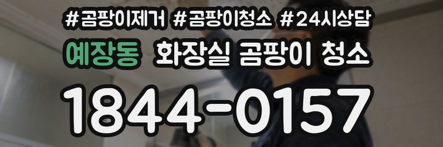 예장동 화장실 곰팡이 청소
