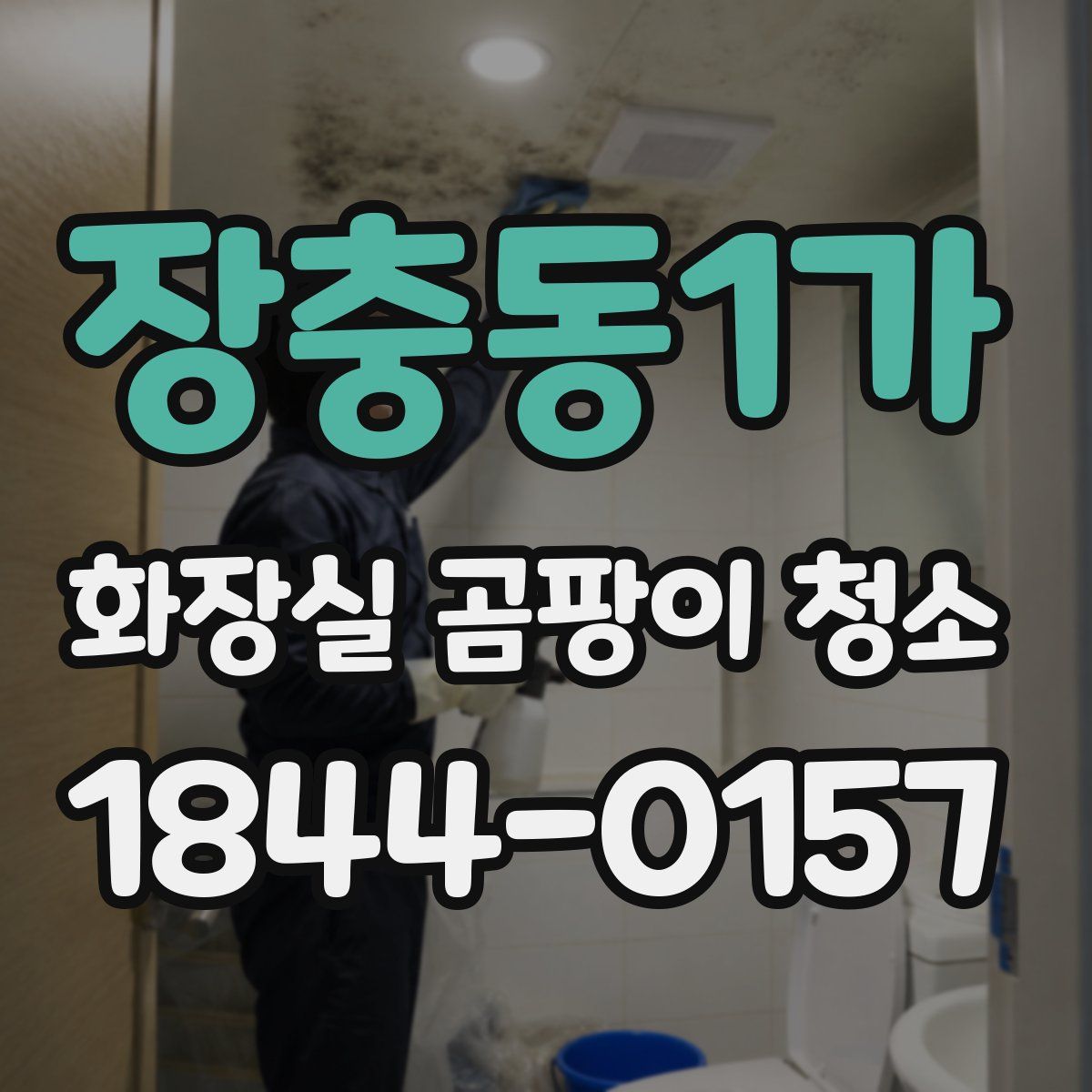 장충동1가 화장실 곰팡이 청소