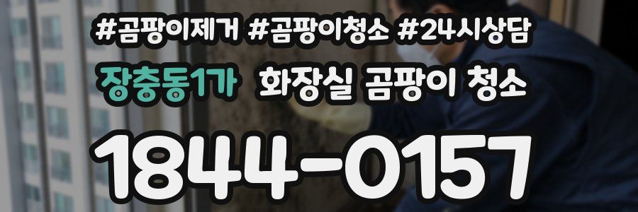 장충동1가 화장실 곰팡이 청소