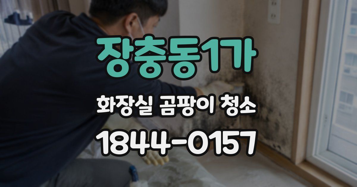 장충동1가 화장실 곰팡이 청소