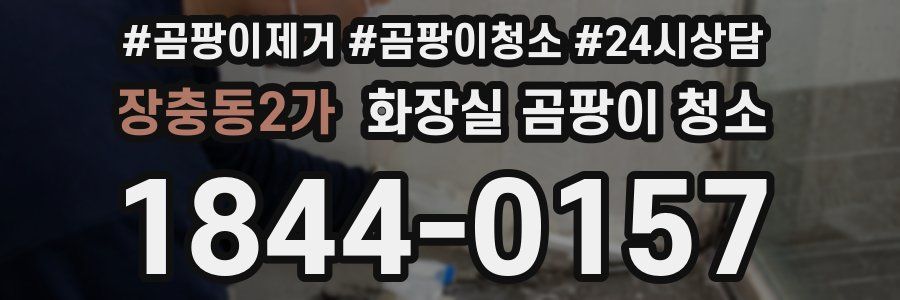 장충동2가 화장실 곰팡이 청소
