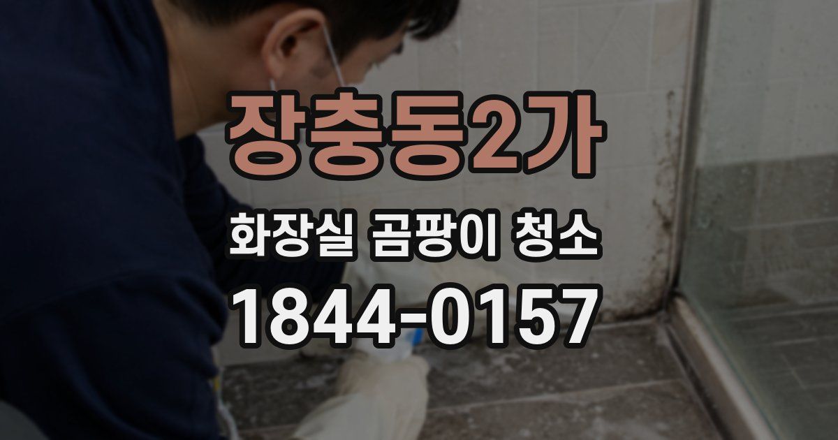 장충동2가 화장실 곰팡이 청소