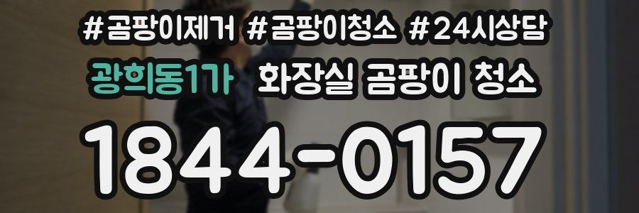 광희동1가 화장실 곰팡이 청소