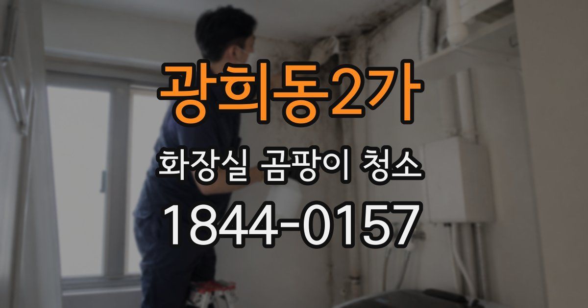 광희동2가 화장실 곰팡이 청소