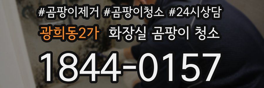 광희동2가 화장실 곰팡이 청소