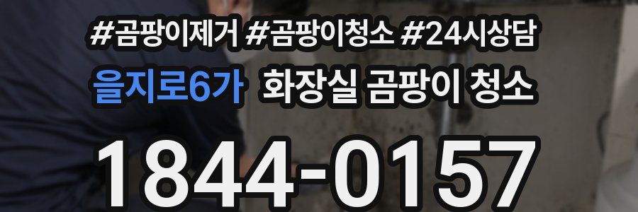 을지로6가 화장실 곰팡이 청소