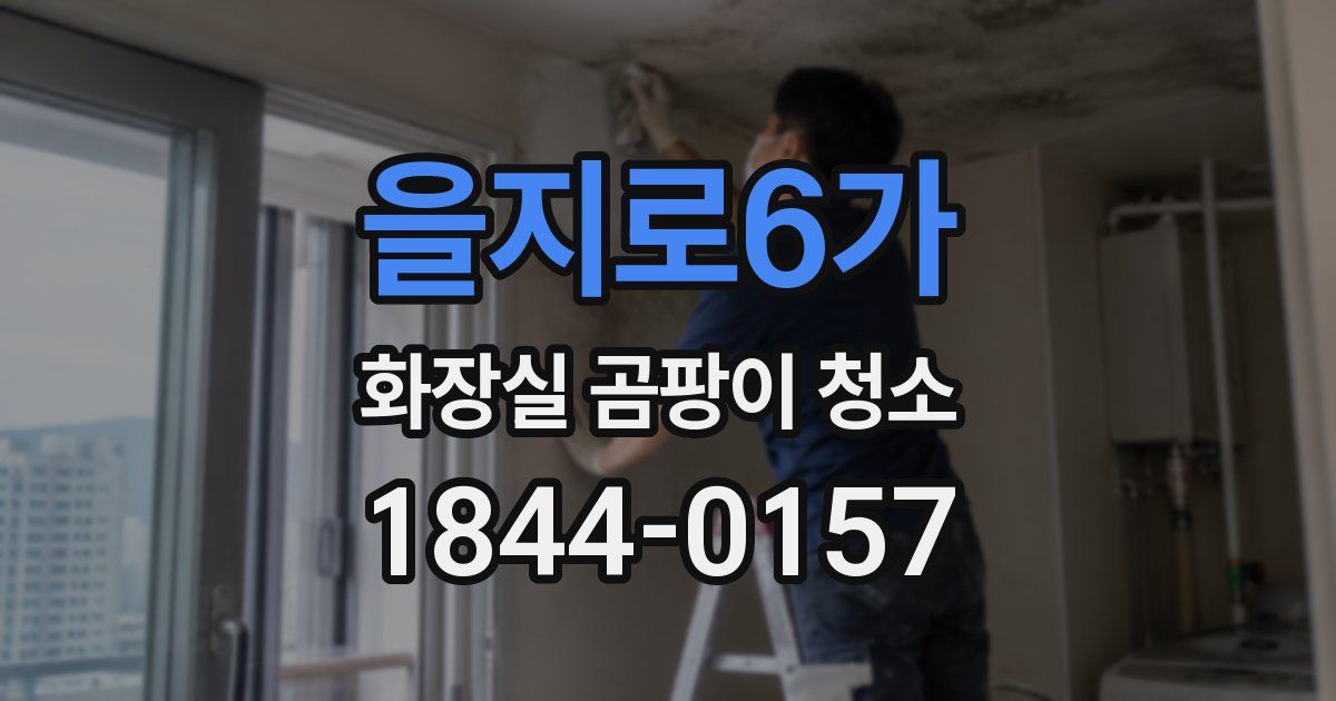 을지로6가 화장실 곰팡이 청소
