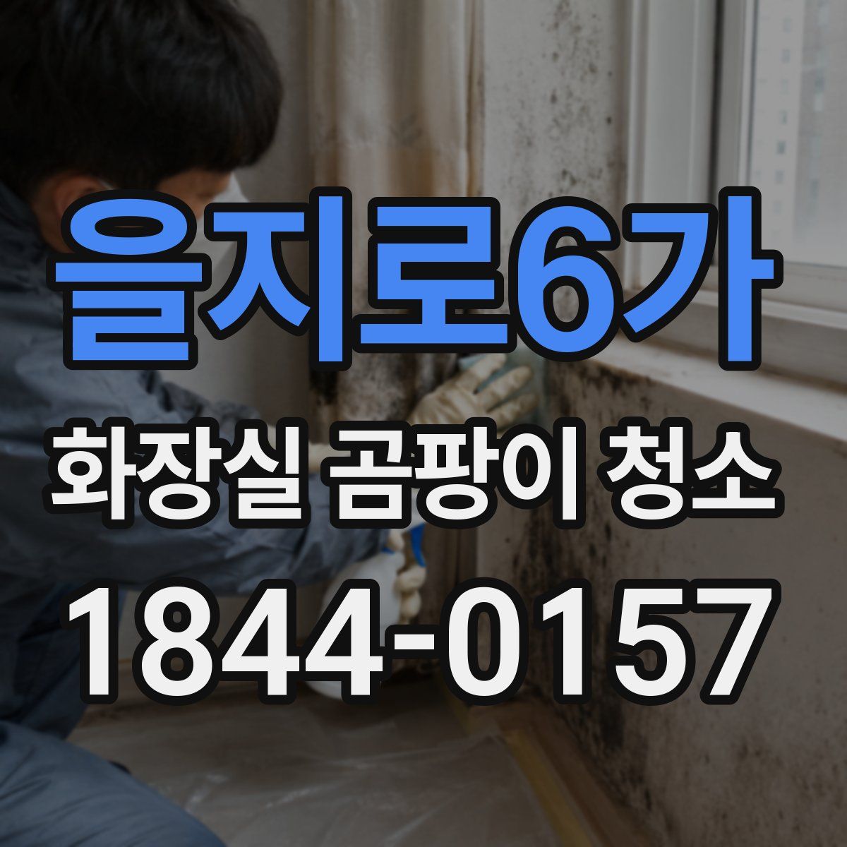 을지로6가 화장실 곰팡이 청소