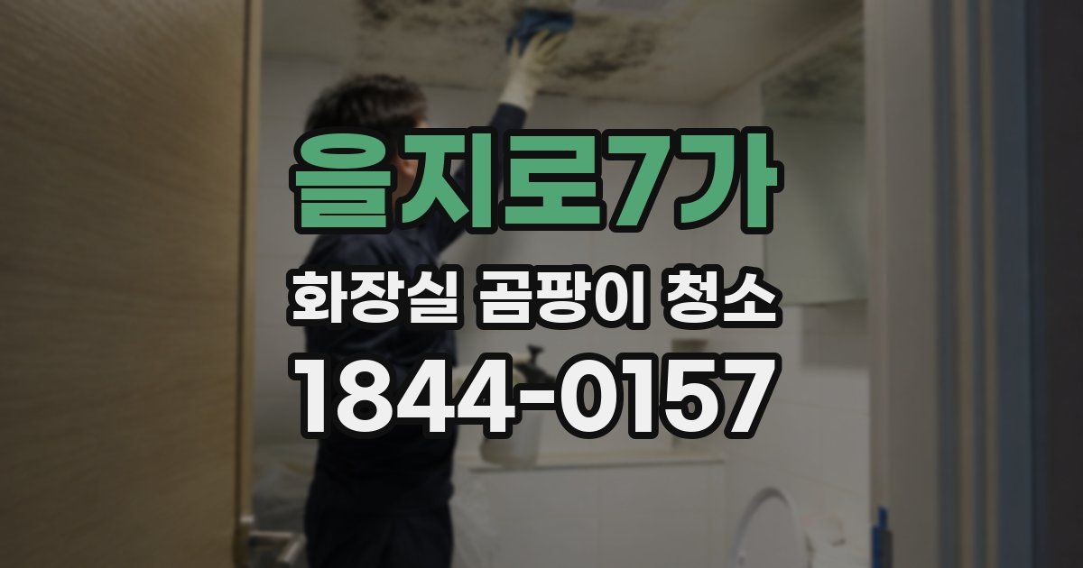 을지로7가 화장실 곰팡이 청소